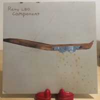 Remy LBO - Component LP